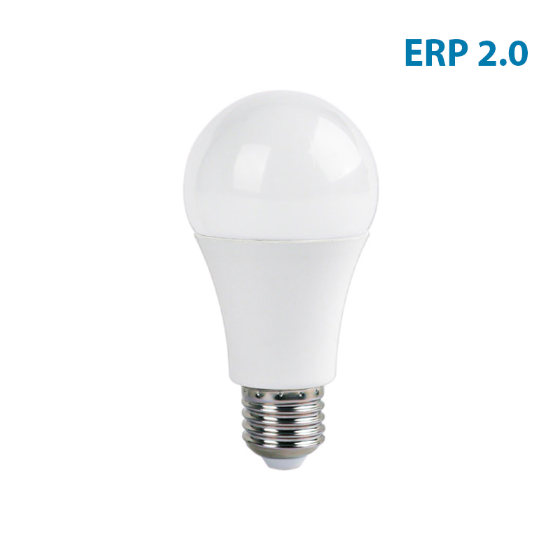 ERP2