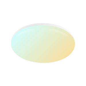 IK08 IP54 Waterproof Intelligent Ceiling Lights