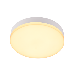 IP65 CCT and DIM Ceiling Light Fixture