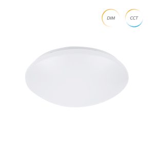 Reliable Lighting Performance LED Ceiling Lamps