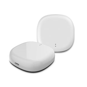 Remote control Zigbee/Bluetooth Smart Gateway